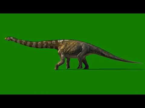 apatosauro gem2