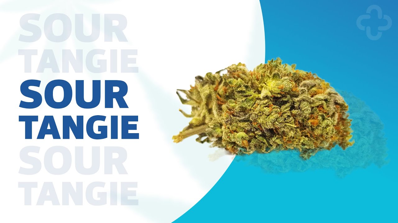 Sour Tangie Strainview