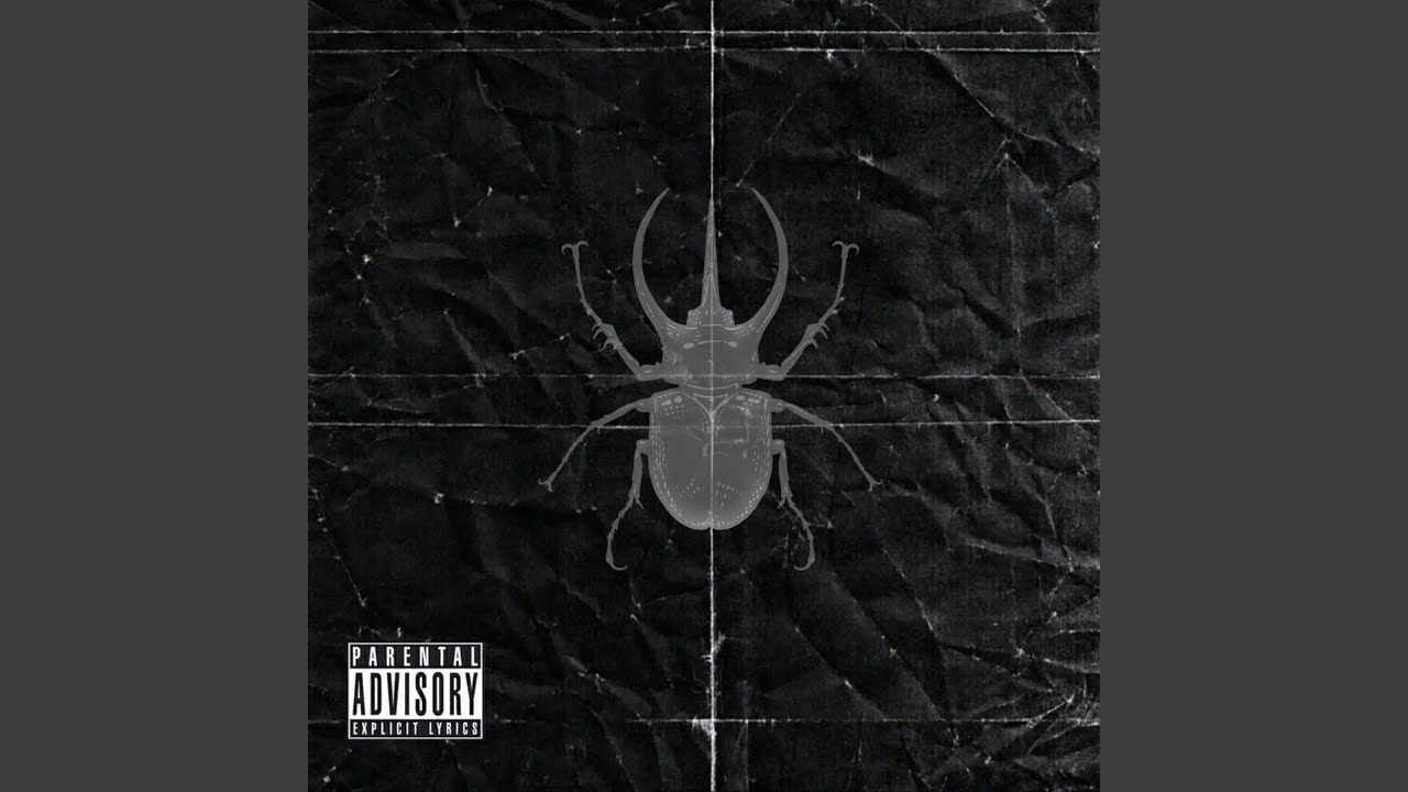 Beetle - YouTube