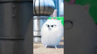 Тайная жизнь домашних животных 🙀
