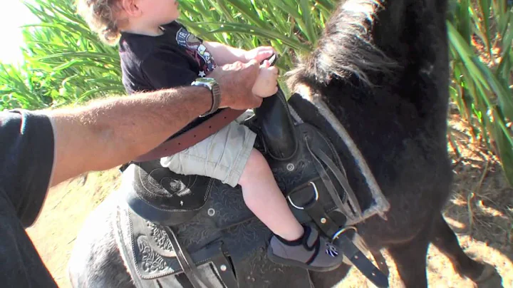 hawes ranch family video