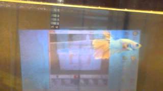 Capture 20120329 1