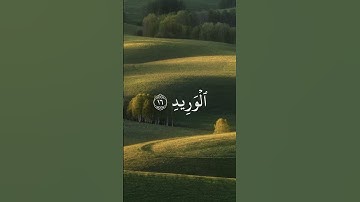سوره ق المنشاوي #المنشاوي #قران_كريم
