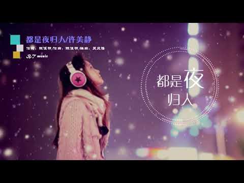 『都是夜归人』许美静 ※ 动态歌词 Lyrics ※❤️•*¨*•♫♪