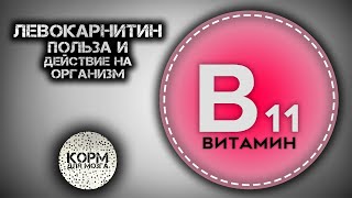 Левокарнитин (Витамин B11). Польза и действие на организм.