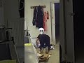 How NOT to compress your cardboard boxes down #fyp #ouch #ouchthathurt #funnyshorts #funnyvideo