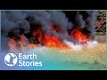 The most shocking extreme heat disasters  code red compilation  earth stories