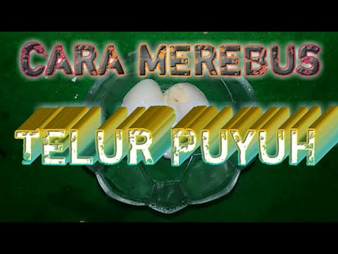 Tips Telur Puyuh Awet Tahan Lama Share/bagikan video ini ke teman2mu!! dan juga ke semua sosial medi. 