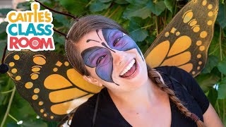 Face Painting: Guess What I'll Be! | Caitie's Classroom