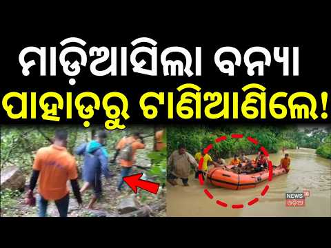 ୫ କିମି ପାହାଡ଼ ଚଢ଼ି ଟାଣିଆଣିଲେ...Harabhangi River Floods Gajapati | ODRAF Save Villagers | Odia News