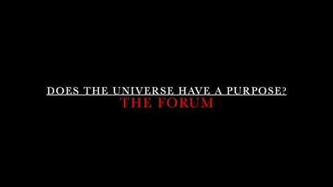 Does the Universe Have a Purpose?