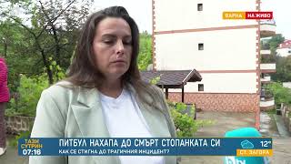 Питбул уби стопанката си във Варна: Защо кучето е проявило агресия?