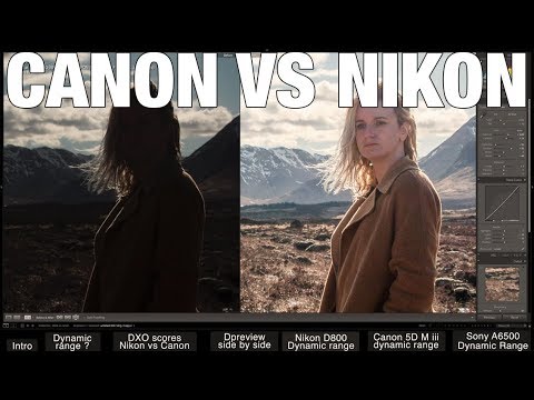 Nikon D5600 Vs Nikon D3500