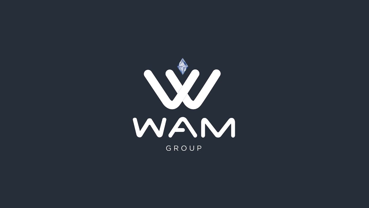 WAM GROUP INSTITUCIONAL 2020