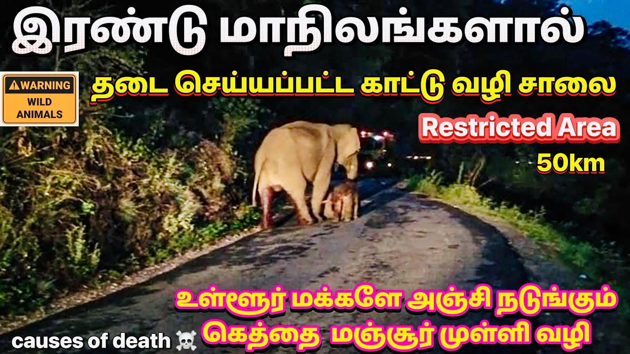 MANJOOR GEDDAI MULLI ROAD TRIP ONE OF THE MOST DANGEROUS ROADS IN TAMILNADU DONT GO IN NIGHT TIME 