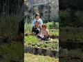 Life in Tuscany 🌿 | From Our Garden to the Table (Siena)