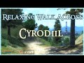 Relaxing walk across cyrodiil  ambient music and sounds oblivion
