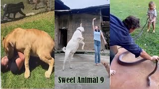 Funny cute pets || funny dogs and cats || Sweet Animal videos 34