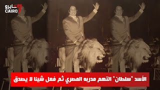 الأسد سلطان التهم مدربه المصري ثم فعل شيئا لا يصدق