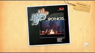 Video thumbnail of "The Spotnicks   --  Theme From  For A Few Dollars More"