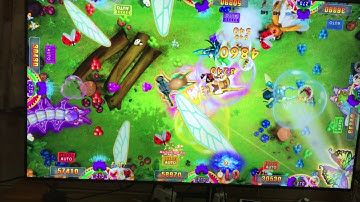 how to play fish game machine to win win win