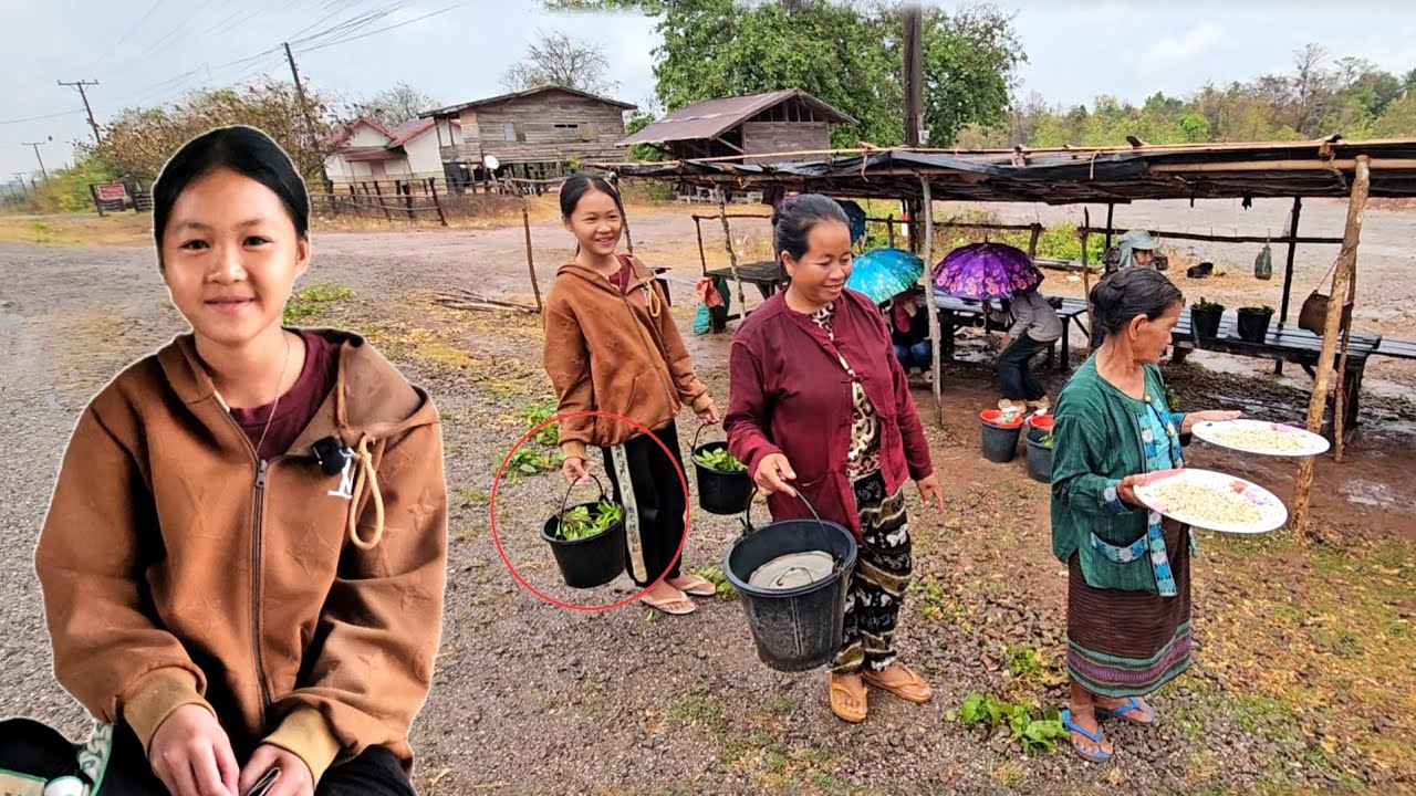 ตามมาดูบ้านน้องที่ขายเขียดน้องขยันและน่ารักมาก 5 มีนาคม ค.ศ. 2026