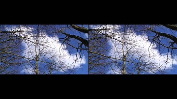 3988 Wide 2 and chase DeFishr