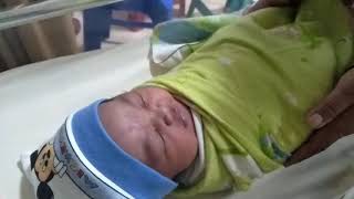 Suara tangisan bayi baru lahir