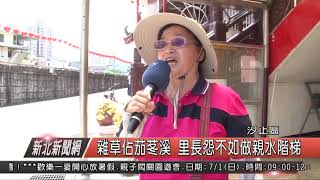 1070626新北新聞網04 汐止區雜草佔茄苳溪 里長怨不如做親水階梯