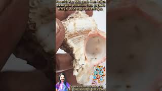 Maa KALI conch from Indian ocean gives protection from negative energy, black magic and evil eyes.