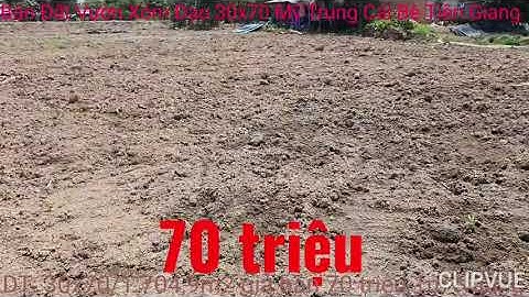 Bán Đất Vườn xóm đạo 30x70 tại Mỹ Trung cái bè tiền giang