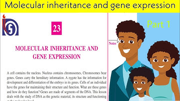 NIOS BIOLOGY | 314 | UNIT 23 | MOLECULAR INHERITANCE AND GENE EXPRESSION