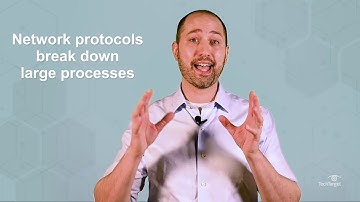 What are Network Protocols? Here