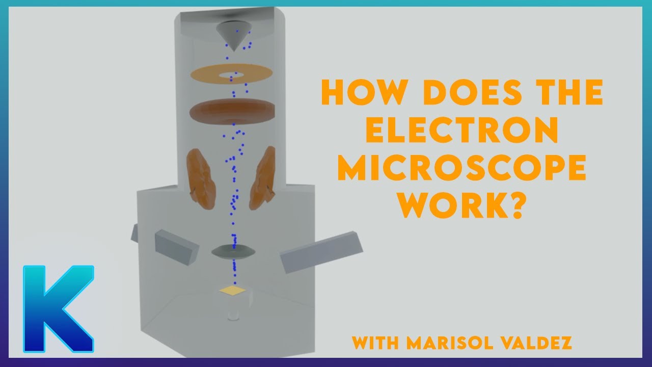 Scanning Electron Microscope (How it works?)