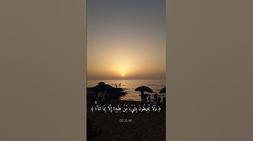 #آية_الكرسي  #سورة_البقرة #ماهر_المعيقلي