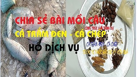 BÀI MỒI CÂU CÁ TRẮM ĐEN - CÁ CHÉP; THÍNH CÂU THUỐC BẮC, Đt/Zalo: 0979.009.118; FB: Thính Câu Hân Ốc