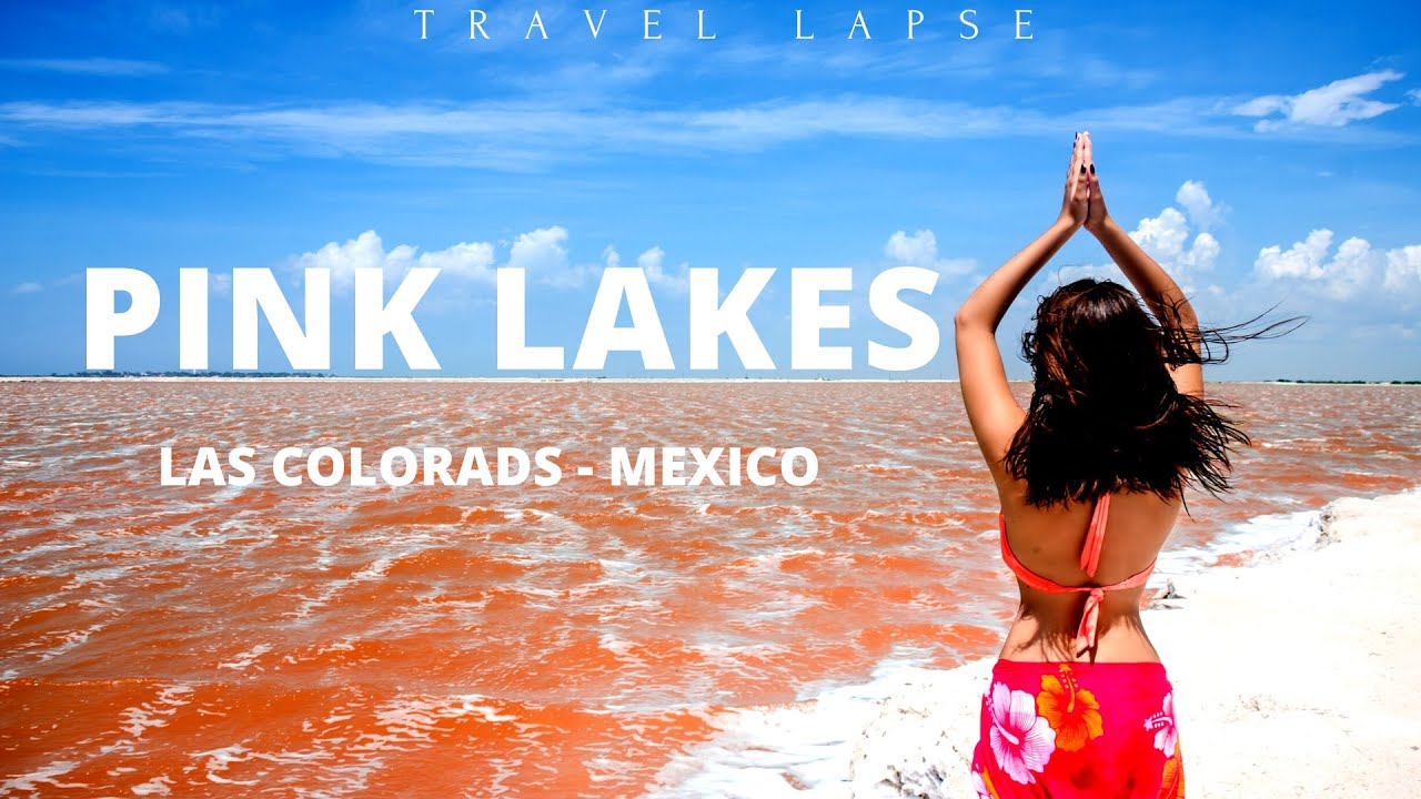 Unbelievable Pink Lake Of Las Coloradas In Mexico | by drone |