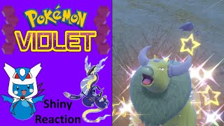 Pokemon Violet: Shiny Tauros Reaction