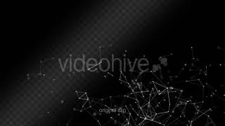 Famous Plexus - Motion Graphics Profile