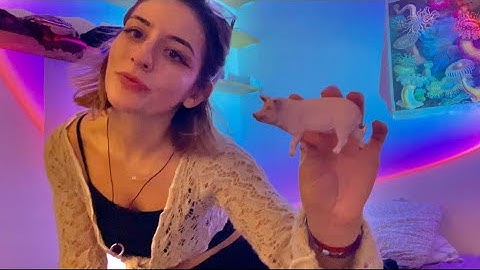 ASMR the best fast, crazy, chaotic, unpredictable personal attention