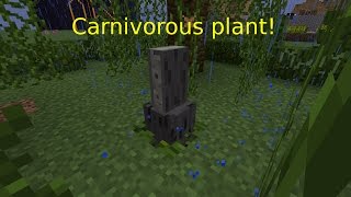 10 subscriber special: a carnivorous plant! screenshot 5
