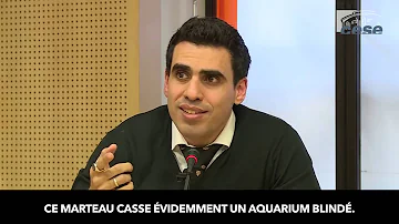 Quel est le but du biomimétisme ?