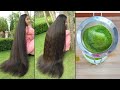 Surprising Papaya Double Hair Growth At Home | Double Hair Growth