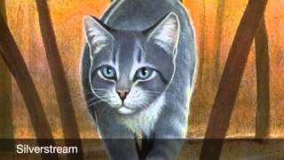 Warrior cats I like Radioactive
