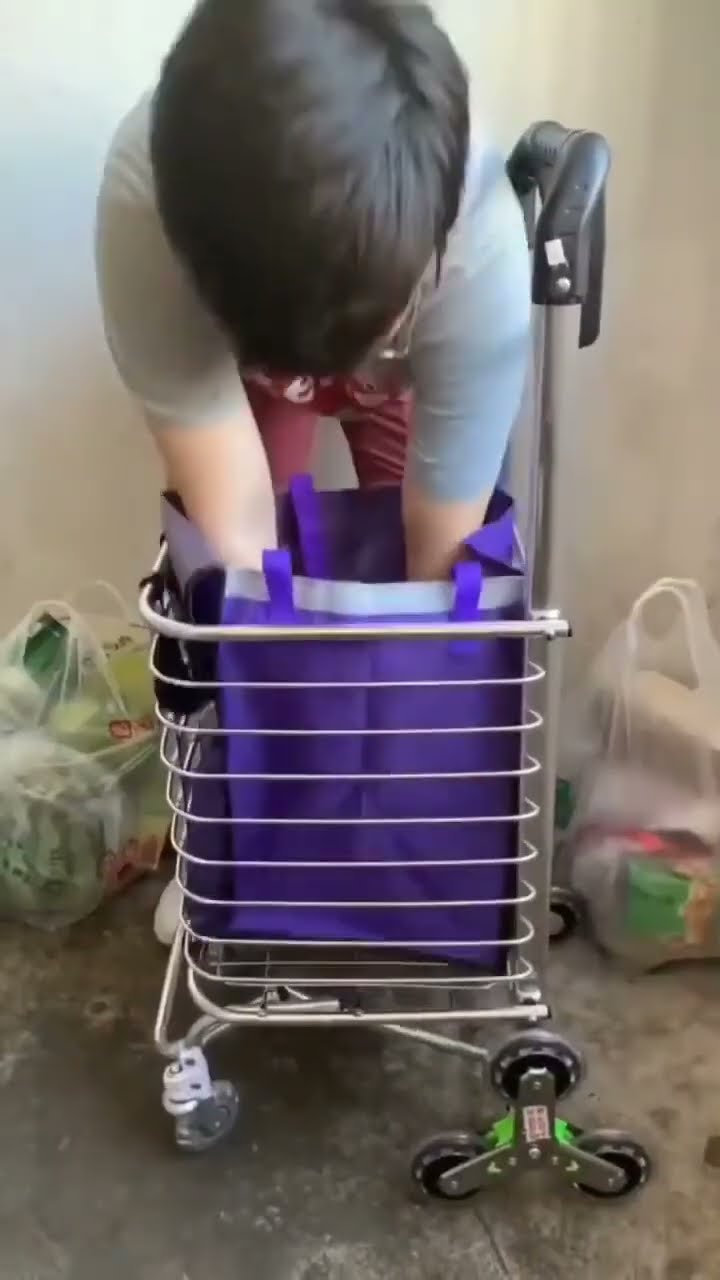 Climbing Wheeled Shopping Cart ?www.mavigadget