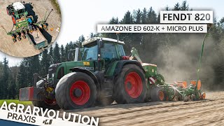 Fendt 820 Vario + Amazone ED 602-K + Micro Plus • Sowing corn | Agrarvolution Praxis