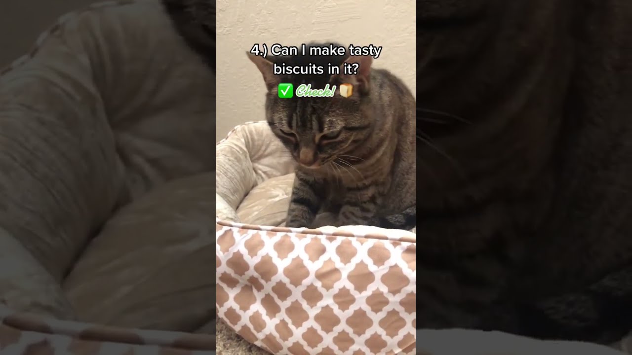 Best Pet Beds On Amazon | Review