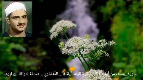 سورة يوسف من آية ١٠٢ إلى سورة الرعد آية ١٤ _ المنشاوي