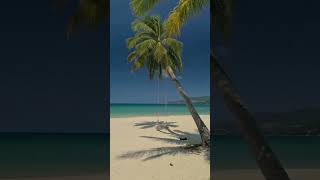 Fall into nature 🍀💖 #thailand #beauty #vites #nature #trending #viral #popular