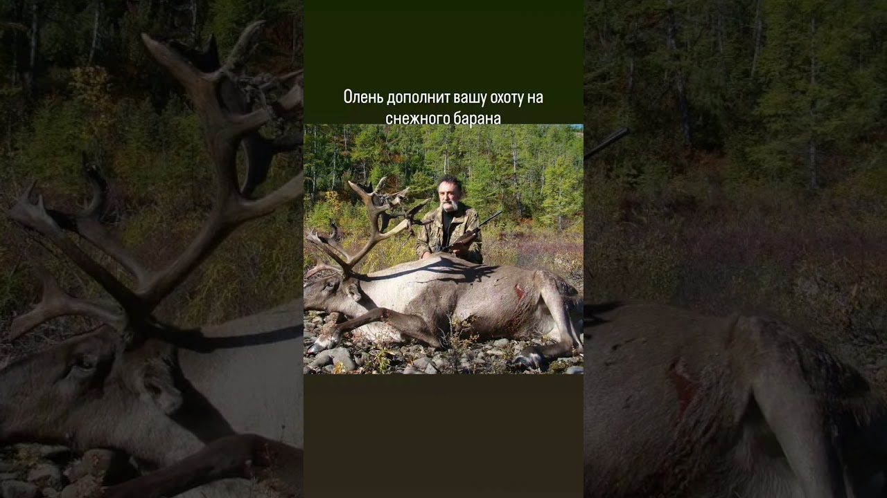 #sergeyoutfitter #huntingrussia #sci #трофейнаяохота #everyone